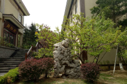 大连唐风温泉园林景观工程