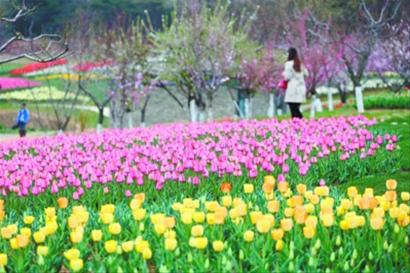 大连建首座官办民助植物园