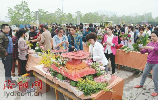 2014洛阳市插花艺术大赛介绍